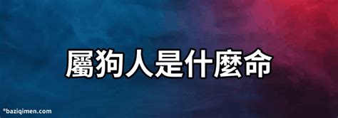 1994屬狗|屬狗人：1994年是什麼命？准爆了！